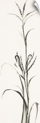 Gray Grasses IV