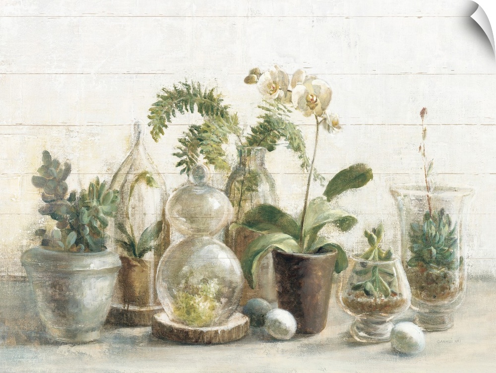 A contemporary painting of a group of glass covered succulents and orchids against a white wood wall.