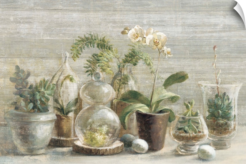 Contemporary still life painting of potted orchids and small terrariums.
