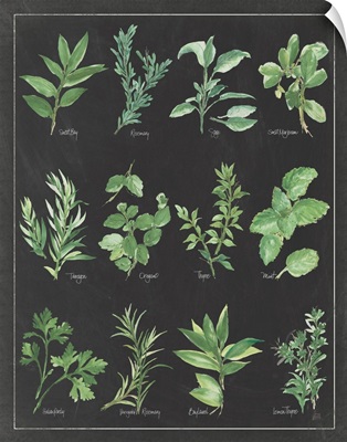 Herb Chart on Black White Border