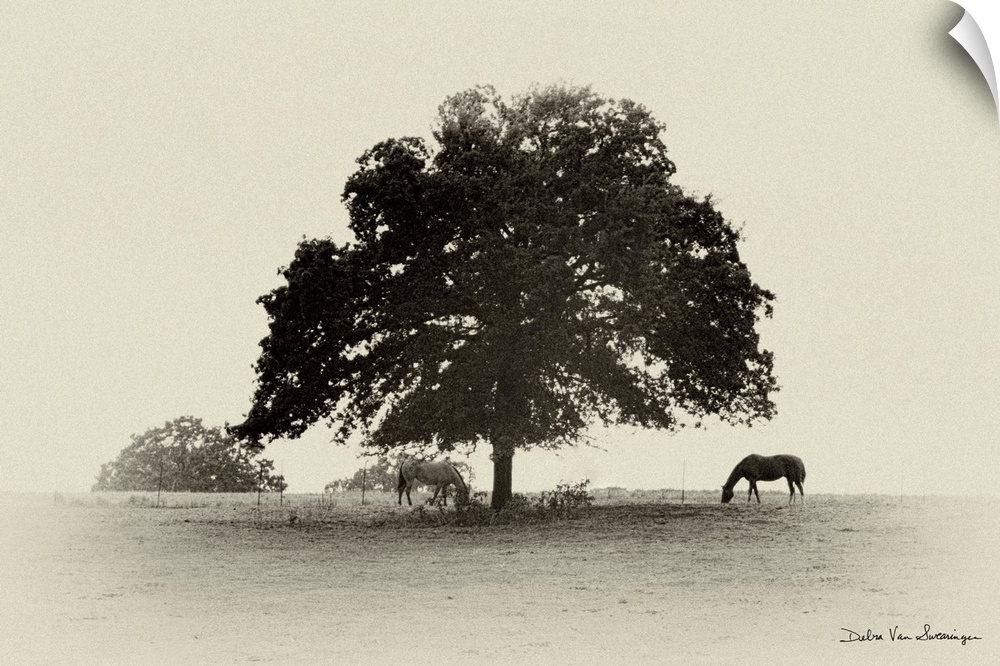 Horses and Trees I