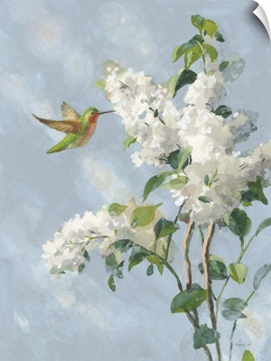 Hummingbird Spring I Soft Blue