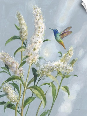 Hummingbird Spring II Soft Blue