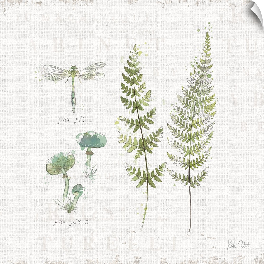 Square watercolor painting of blue and green mushrooms, a dragonfly, and ferns on a white textured background with faint t...