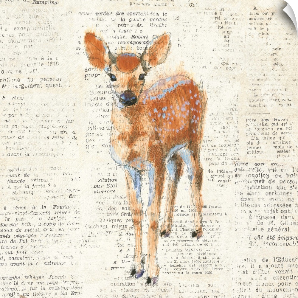 Artwork of a fawn against a distressed newsprint background.
