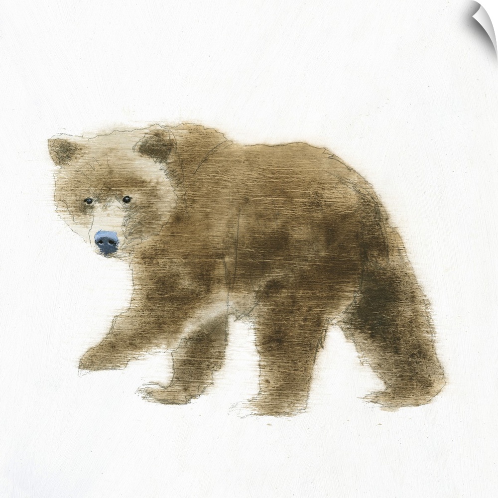 Artwork of a bear against a white background.