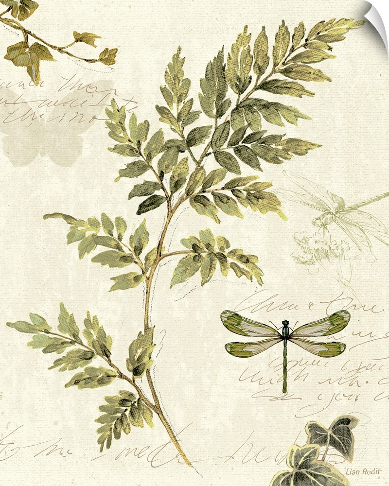 Antique-style print of a pressed fern on a piece of parchment with faint images of dragonflies and handwriting.