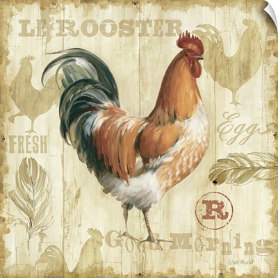 Joli Rooster I