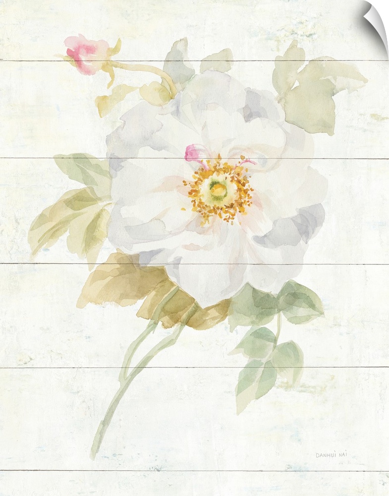 Contemporary artwork of a white blooming rose on a cream colored wood background.
