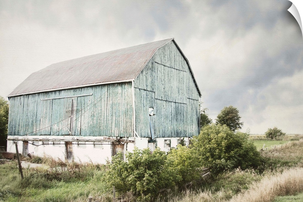 Photograph of an old faded light blue barn in an overgrown rural field.