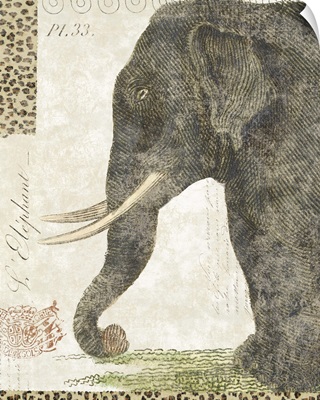 L'Elephant