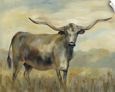 Longhorn Cow