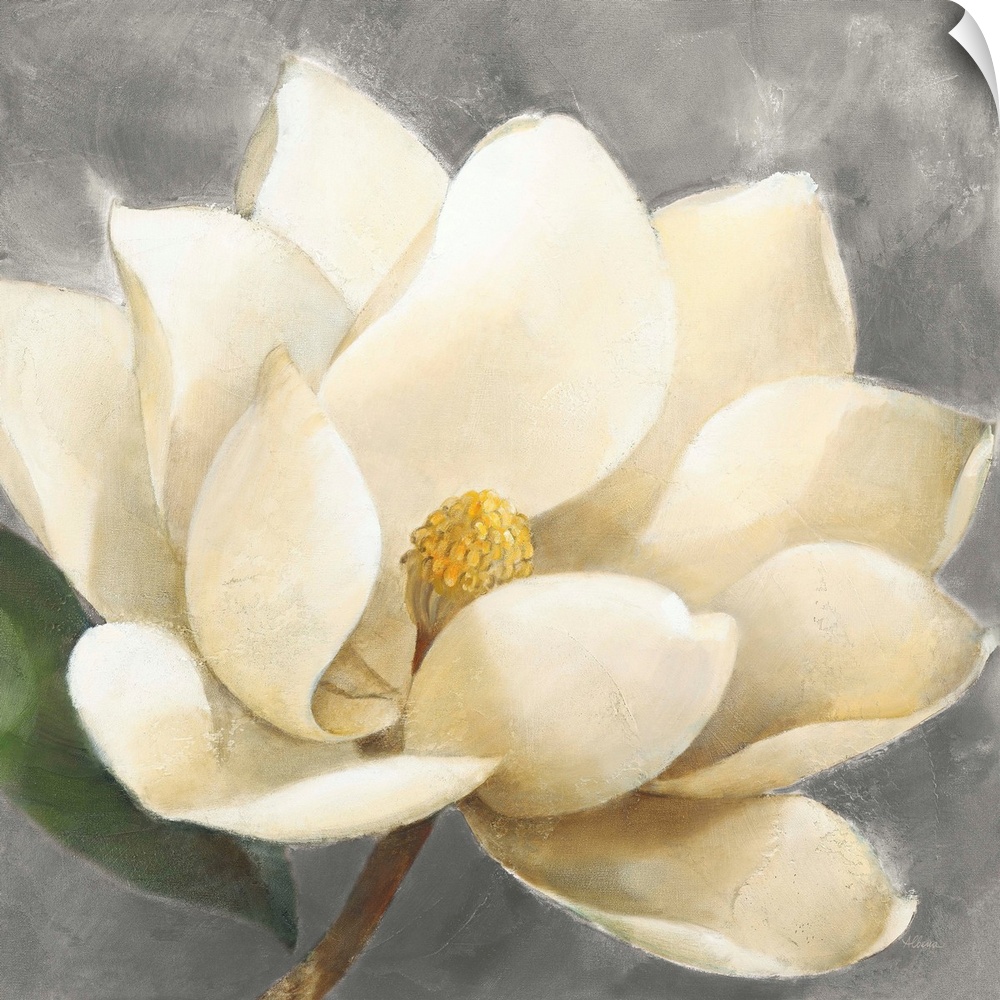 Contemporary painting of a beautiful magnolia flower on a gray, square background.
