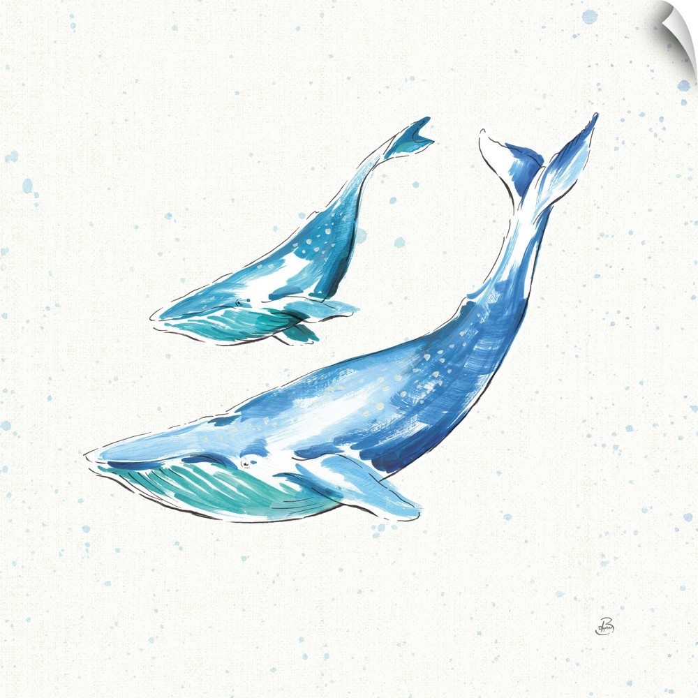 Two blue whales swimming on a white square background with light blue paint splatter.