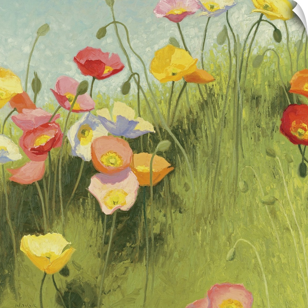 This square piece is a contemporary painting of delicate flowers that are growing on a grassy hill. Some are still budding...