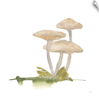 Mellow Mushrooms I
