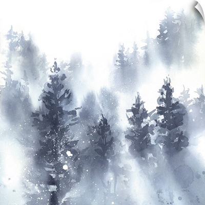 Misty Forest II
