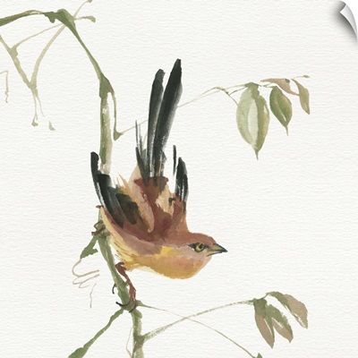 Mountain Bush Warbler