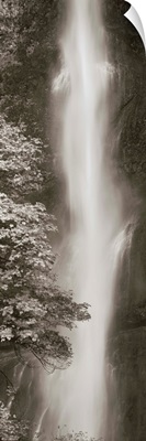 Multnomah Falls Panel
