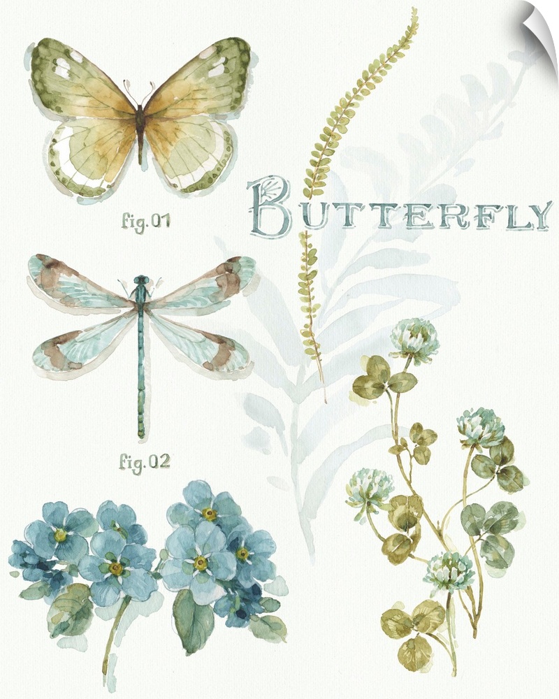 Watercolor painting of a butterfly and a dragonfly with blue flowers and fern leaves.