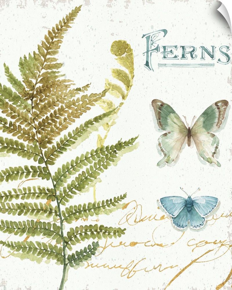 Watercolor painting of a big fern branch and two butterflies with the word "Ferns" written in blue at the top and gold han...