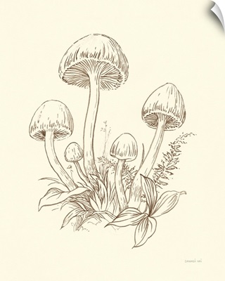 Nature Sketchbook IX Brown