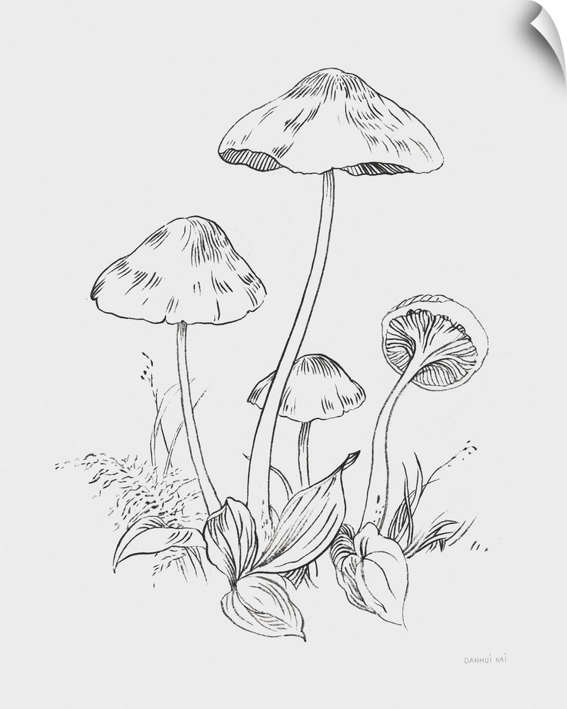 Natures Sketchbook III Bold Light Gray