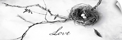 Nest and Branch II Love