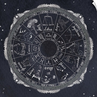 Night Sky Zodiac