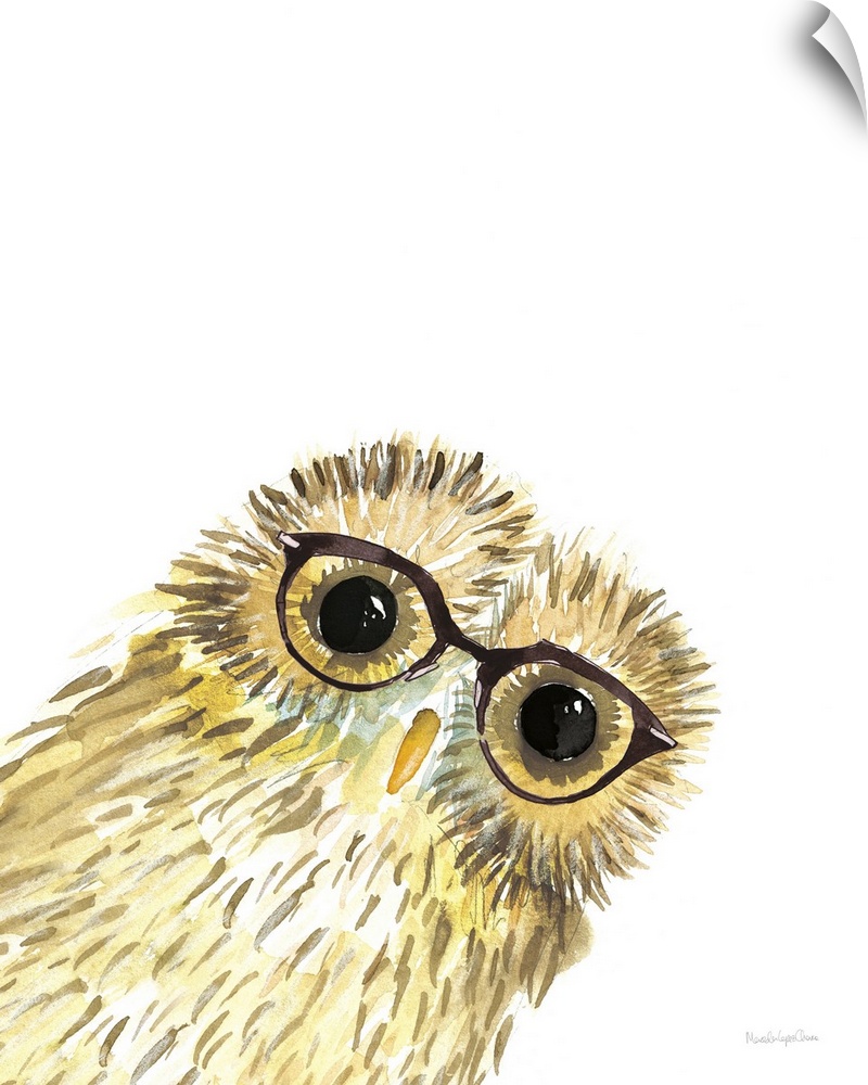 Owl in Glasses