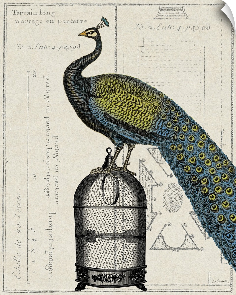 Vertical, large home art docor of a peacock standing on a small birdcage, on a background of illustrated diagrams and fore...