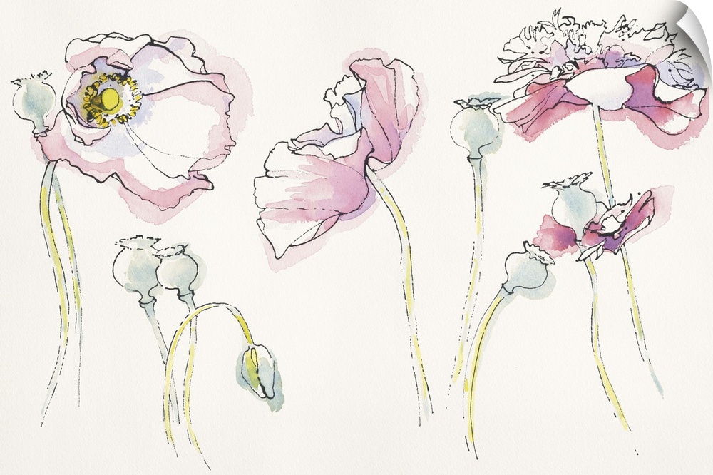 Watercolor painting of soft pink flowers in different positions against a neutral toned background.