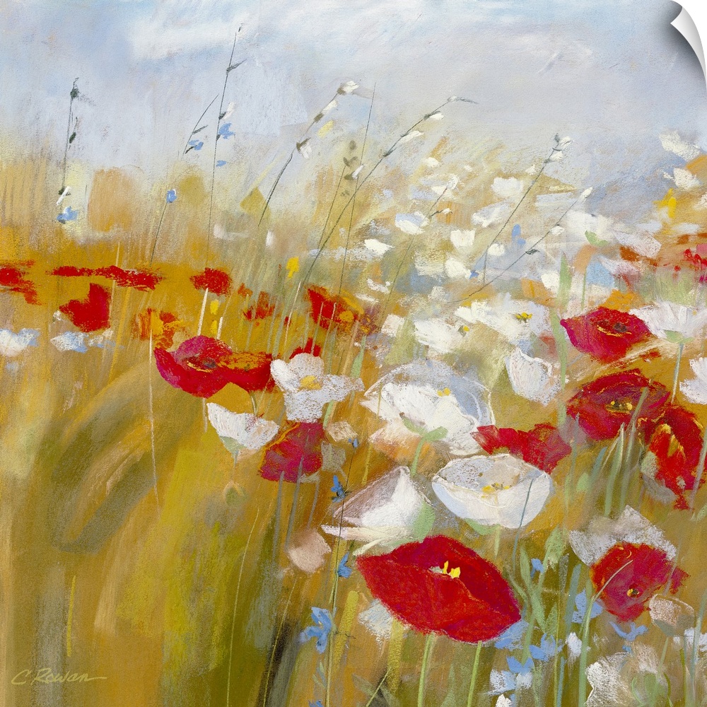 Red and white poppy flowers painted in a meadow with brushstroke whispy clouds overhead.