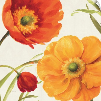 Poppies Melody II