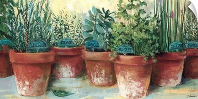 Potted Herbs II