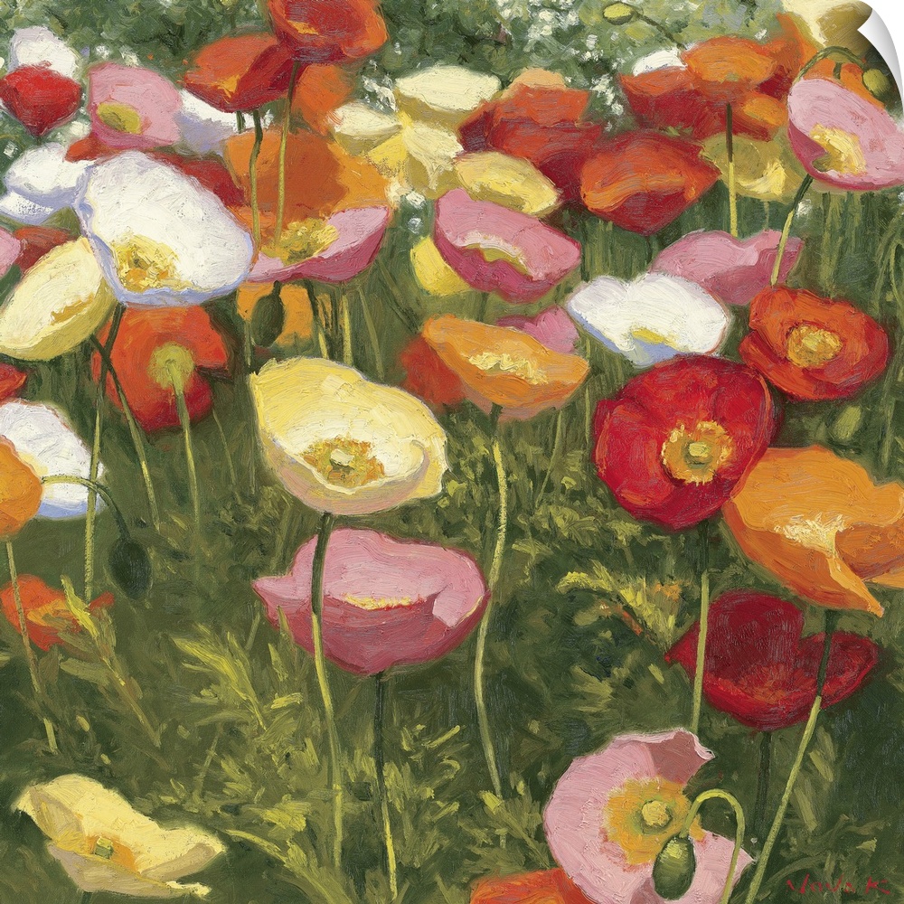 This square shaped decorative accent is a contemporary impressionistic painting of poppies growing in a cluster together.