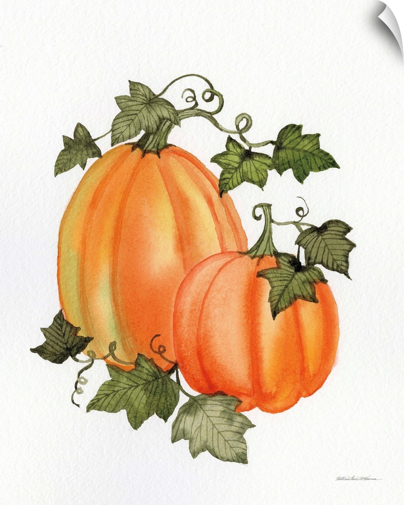 Decorative artwork of two pumpkins and vines on a white background.