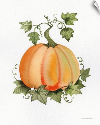Pumpkin and Vines II