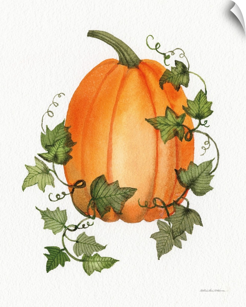 Decorative artwork of an orange pumpkin and vines on a white background.