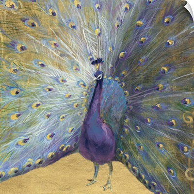 Purple and Gold Peacock