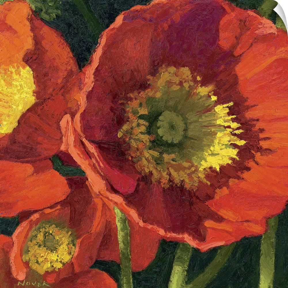 A contemporary square shaped painting of flower blossoms viewed from up close.