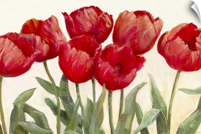 Ruby Tulips