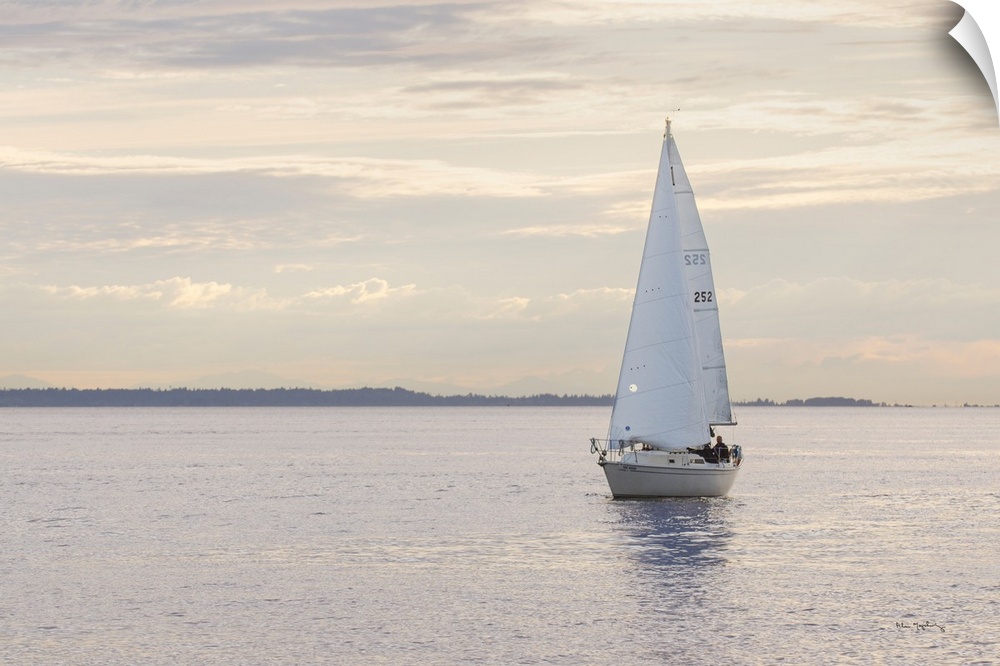 Sailboat in Semiahmoo Bay, Washington.