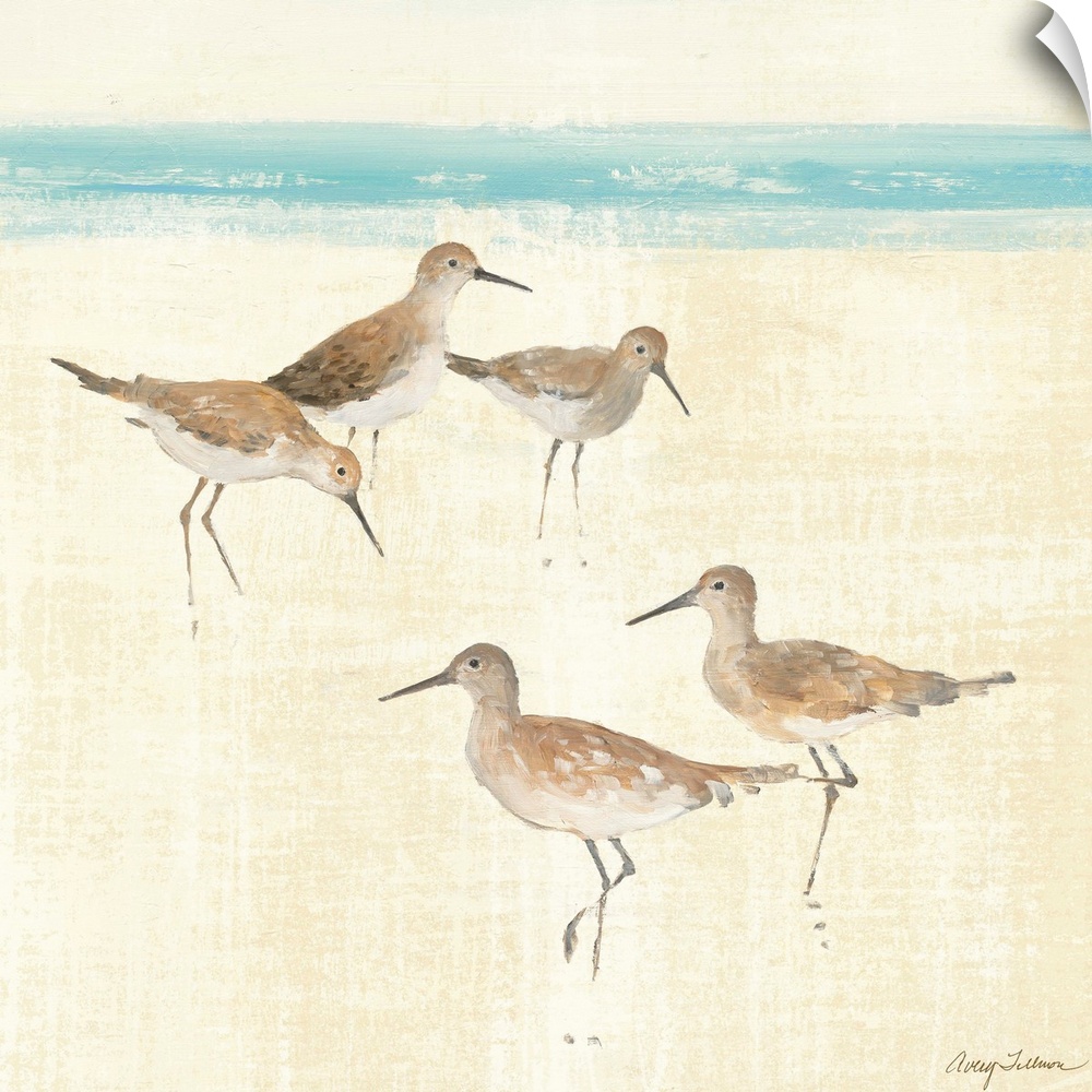 Sand Pipers Square I