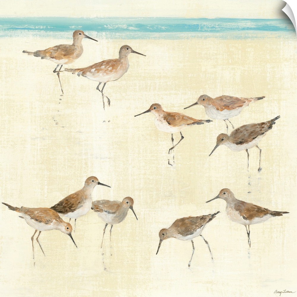 Square, large artwork of a group of sandpiper birds standing on the beach, near the edge of blue water. Painted lightly, w...
