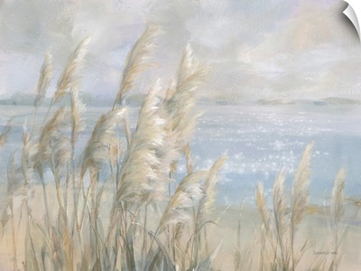 Seaside Pampas Grass