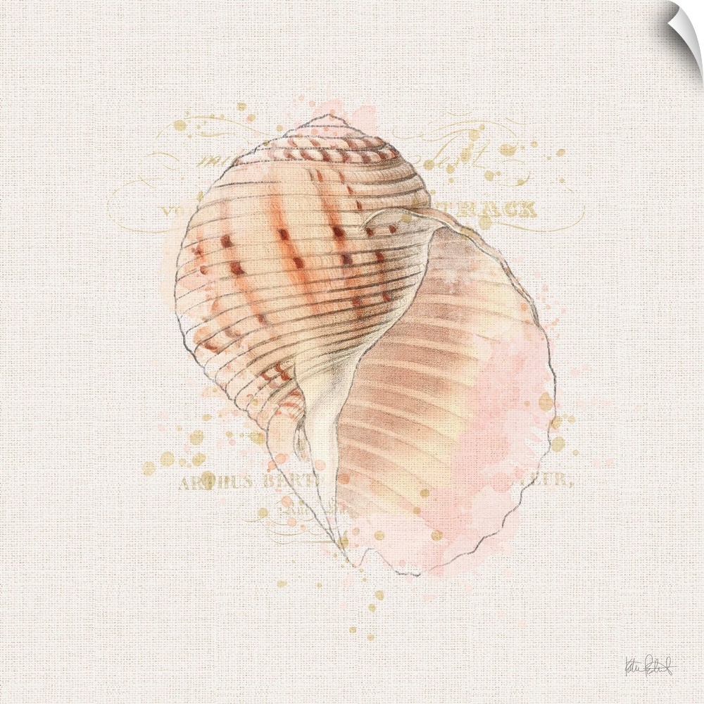 Square watercolor painting of a coral colored seashell with faint gold text in the background.