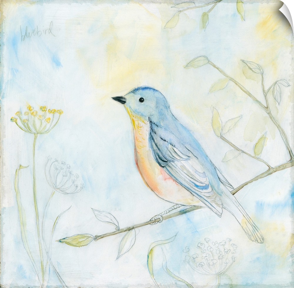 Square sketch of a bluebird perched on a branch and surrounded by leaves and flowers, all colored in with watercolors.