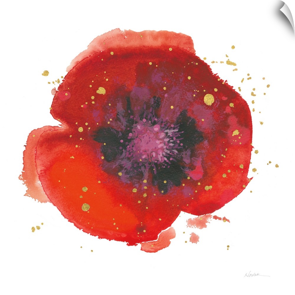 Square watercolor painting of a red poppy flower with a purple and black center and sparkly gold paint splatter on top.