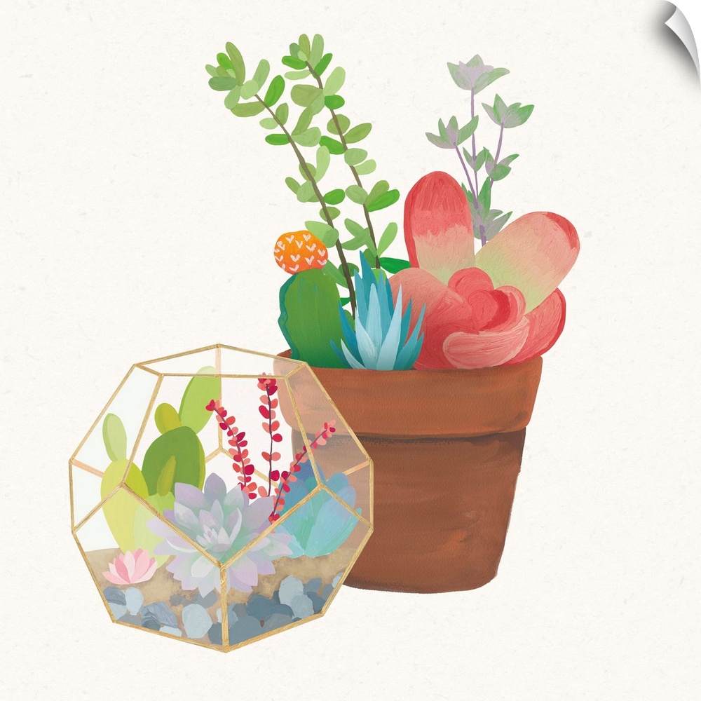 Illustration of a potted cactus and succulents in a glass terrarium.